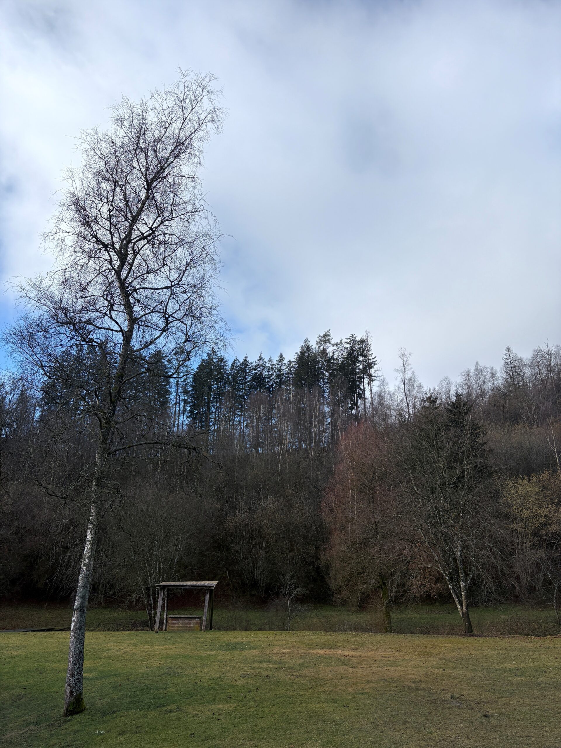 Jardin de la 2ème maison l'edelweiss de l'ASBL le vieux moulin